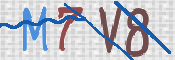 画像に表示された文字を入力して下さい