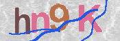 画像に表示された文字を入力して下さい