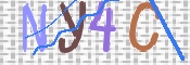 画像に表示された文字を入力して下さい