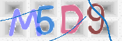 画像に表示された文字を入力して下さい