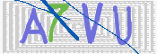 画像に表示された文字を入力して下さい