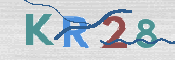 画像に表示された文字を入力して下さい