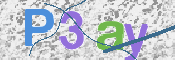 画像に表示された文字を入力して下さい
