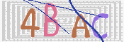 画像に表示された文字を入力して下さい