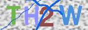 画像に表示された文字を入力して下さい