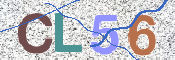 画像に表示された文字を入力して下さい