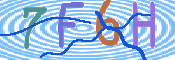 画像に表示された文字を入力して下さい