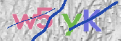 画像に表示された文字を入力して下さい