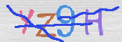 画像に表示された文字を入力して下さい
