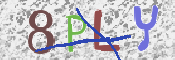 画像に表示された文字を入力して下さい