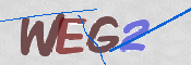 画像に表示された文字を入力して下さい