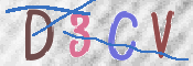 画像に表示された文字を入力して下さい