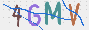 画像に表示された文字を入力して下さい