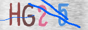 画像に表示された文字を入力して下さい