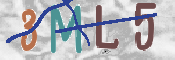 画像に表示された文字を入力して下さい
