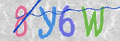 画像に表示された文字を入力して下さい
