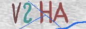 画像に表示された文字を入力して下さい