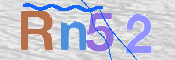 画像に表示された文字を入力して下さい