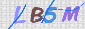 画像に表示された文字を入力して下さい