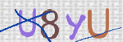 画像に表示された文字を入力して下さい