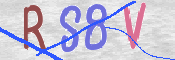 画像に表示された文字を入力して下さい