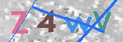 画像に表示された文字を入力して下さい