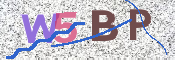 画像に表示された文字を入力して下さい