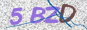 画像に表示された文字を入力して下さい