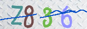 画像に表示された文字を入力して下さい