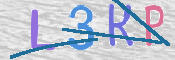 画像に表示された文字を入力して下さい