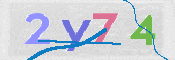 画像に表示された文字を入力して下さい