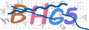 画像に表示された文字を入力して下さい