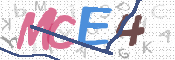 画像に表示された文字を入力して下さい