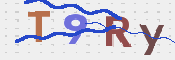 画像に表示された文字を入力して下さい