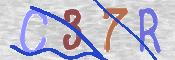 画像に表示された文字を入力して下さい