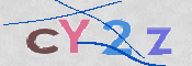 画像に表示された文字を入力して下さい