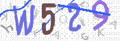 画像に表示された文字を入力して下さい