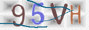 画像に表示された文字を入力して下さい