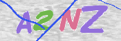画像に表示された文字を入力して下さい