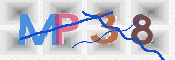 画像に表示された文字を入力して下さい