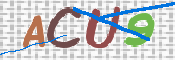 画像に表示された文字を入力して下さい