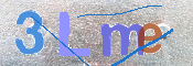 画像に表示された文字を入力して下さい