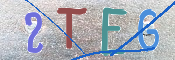 画像に表示された文字を入力して下さい