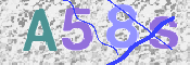 画像に表示された文字を入力して下さい