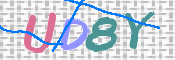 画像に表示された文字を入力して下さい