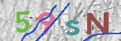画像に表示された文字を入力して下さい