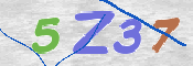 画像に表示された文字を入力して下さい