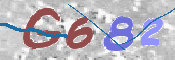 画像に表示された文字を入力して下さい