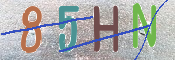 画像に表示された文字を入力して下さい