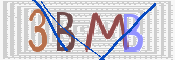 画像に表示された文字を入力して下さい